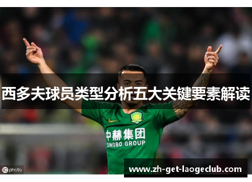 西多夫球员类型分析五大关键要素解读 西多夫球员类型分析五大关键要素解读