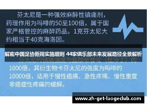 解密中国足协新规实施细则 44家俱乐部未来发展路径全景解析 解密中国足协新规实施细则 44家俱乐部未来发展路径全景解析