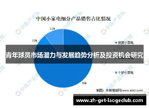 青年球员市场潜力与发展趋势分析及投资机会研究 青年球员市场潜力与发展趋势分析及投资机会研究